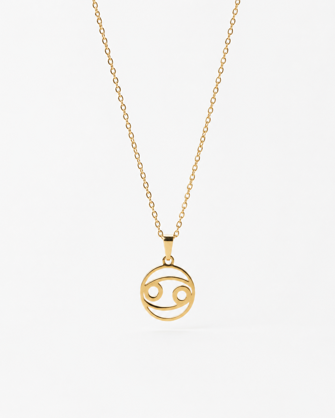 The Horoscope Symbol Necklace